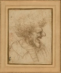 Caricature of a Man with Bushy Hair, c.1495